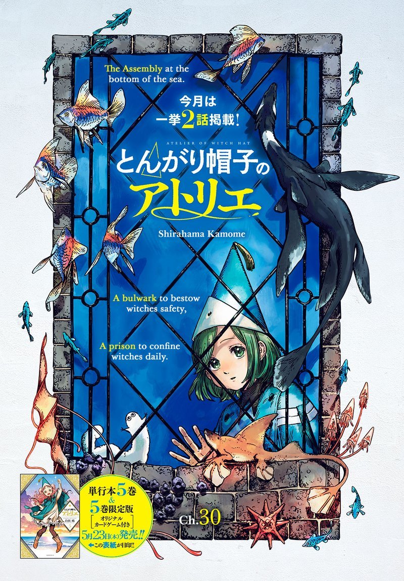 Chapter 30