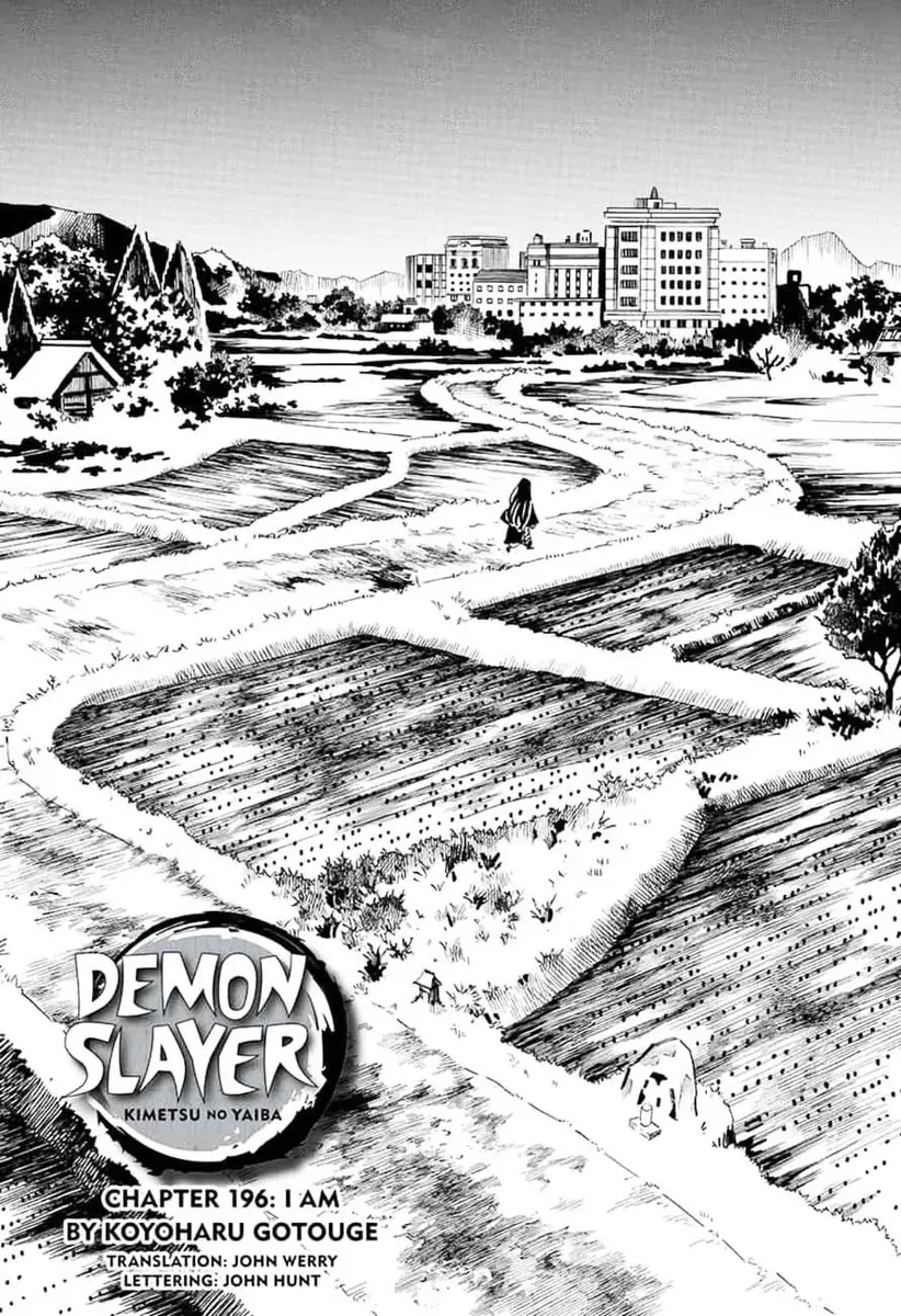Chapter 196