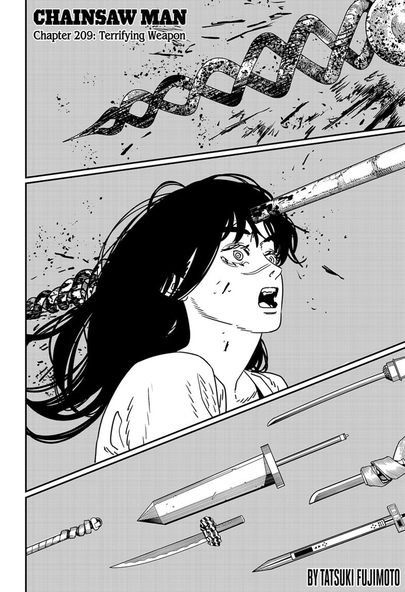 Chapter 209