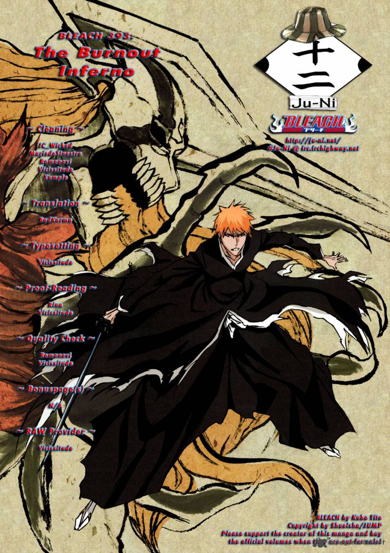 Chapter 393